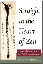 Straight to the Heart of Zen